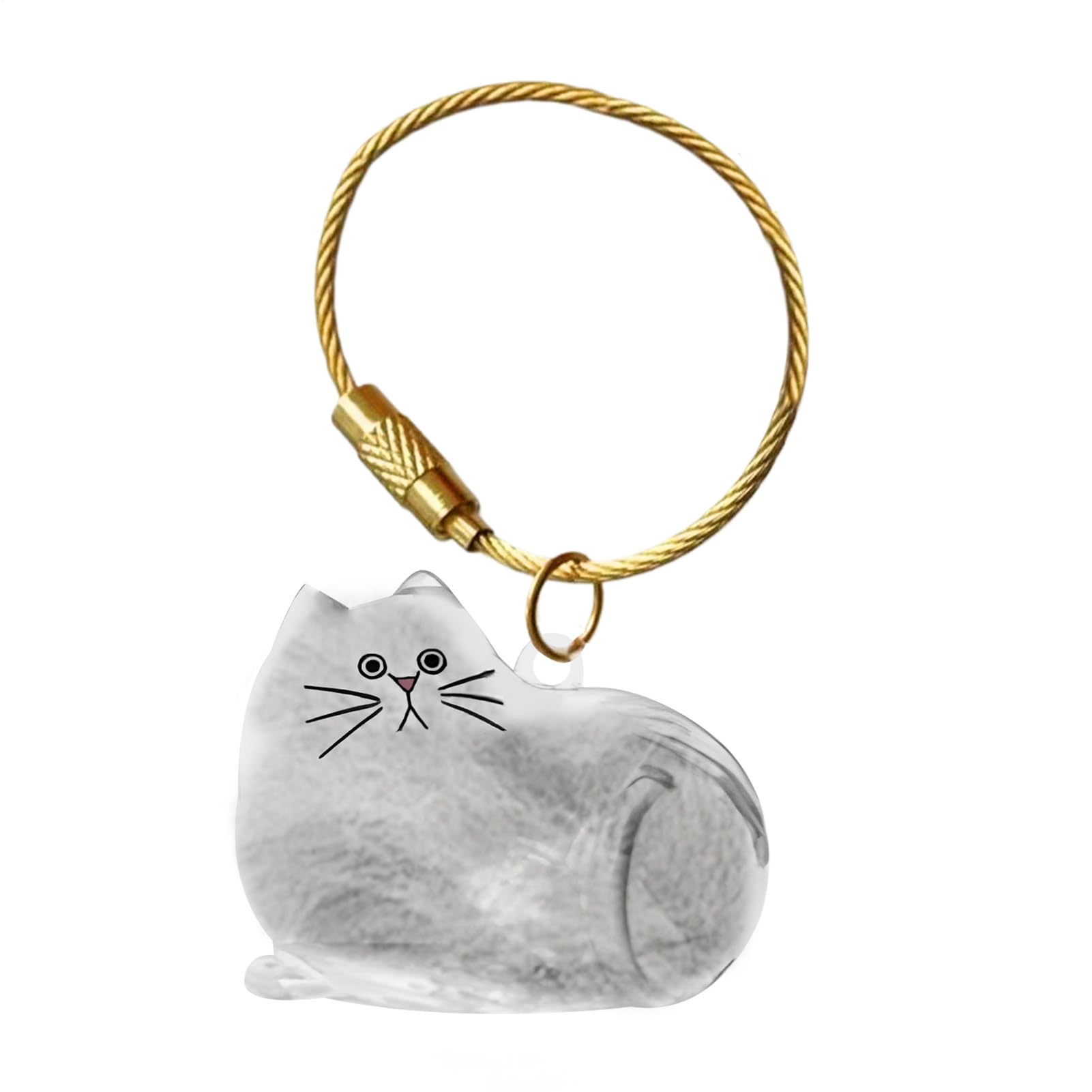 Ricordo portachiavi con peli di gatto, ciondolo commemorativo leggero per borsa
