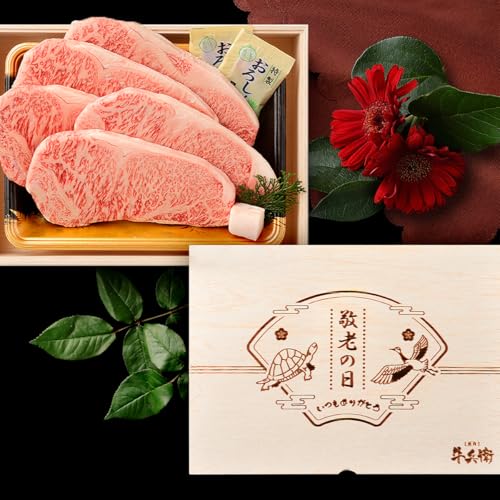 hV̓ Mtg A Mtg јa Xe[L Zbg 5 ؔ Xe[LZbg T[C \|_ ≖ AfX≖ lCj[ X̖ Ya Y S S ēq 