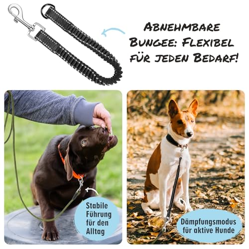 Aystkniet Schleppleine 5M für Hunde, Hundeleine mit Abnehmbare Elastische Kordel | Abschließbarer Haken | Gepolsterter Griff, Lange Laufleine Trainingsleine für Mittlere und Große Hunde