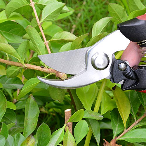 J&D Garden Pruning Set, Professional Hand Pruners Bypass Pruners Cutter Secateurs Pruning Shears Flower Shears Hedge Shears Scissors for Garden Lawn Work, Stainless Steel Blade Spring Lock, 3 Pcs 4 J&D Garden Pruning Set, Professional Hand Pruners Bypass Pruners Cutter Secateurs Pruning Shears Flower Shears Hedge Shears Scissors for Garden Lawn Work, Stainless Steel Blade Spring Lock, 3 Pcs - Image 4
