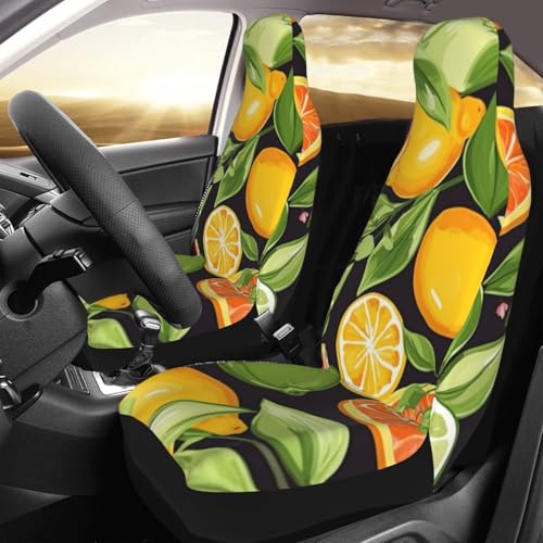 Housse de siège avant de voiture lot de 2 agrumes imperméables universelles