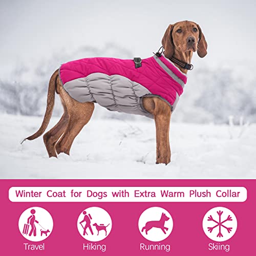 Image of FUAMEY Dog Coat for Large Dogs, Fleece Dog Winter Jacket with Harness