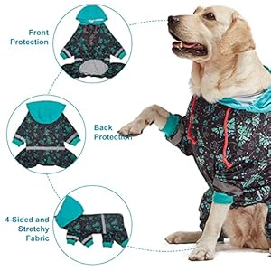 Lovinpet Large Breed Dog Onesie Pajamas  Uv  Wound Care Dog Anxiety Relief Dog Jammies Reflective Stripe Butterflies and Rings Blackgreen Print Post Surgery Pet Pjsxl  Cucciolini Doodles Lovinpet large breed dog onesie pajamas  uv  wound care dog anxiety relief dog jammies reflective stripe butterflies and rings blackgreen print post surgery pet pjsxl   cucciolini doodles