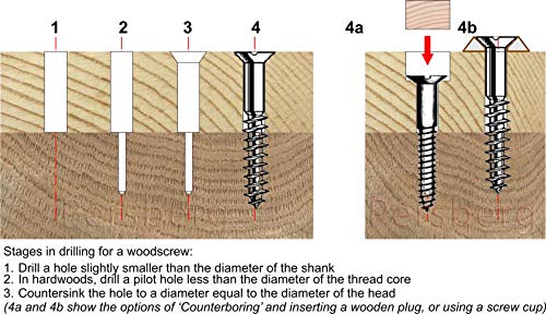 #10 x 3", (25 pcs), Stainless Flat Head Phillips Wood Screw, 18-8 (304) Stainless Steel Screws by Persberg P100-89 - Image 5