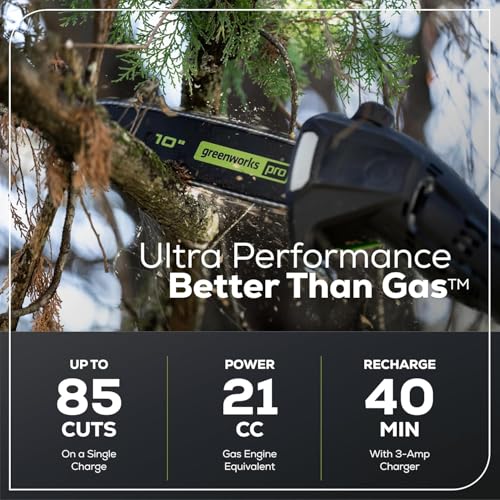 Image of Greenworks 60V 10 inch Brushless Cordless Pole Saw, 2.0Ah Battery, Charger + Bonus 4.0Ah Battery