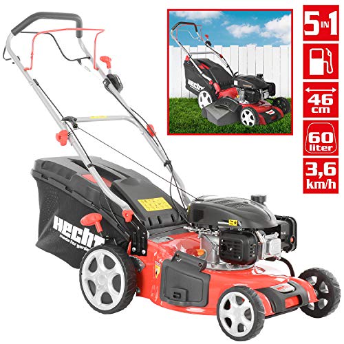 HECHT 547 SXW - Cortacésped de gasolina (3,0 kW (4,0 PS), ancho de corte 46 cm, volumen de la cesta de 60 litros, ajuste de altura de corte 8 veces 30-80 mm)