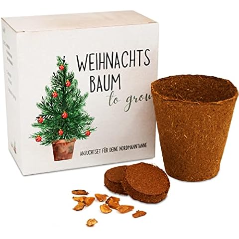 Weihnachtsbaum Anzuchtset als Adventskalender Füllung - Mini Geschenk als Idee für den Adventskalender für Frauen und Männer Cover