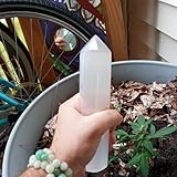 W.I.N.G.S. [Explicit]