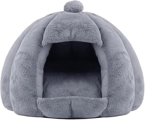 KryZaro~ph[^LnEX L TCY O[ ۉhdl QNbVt LE^p