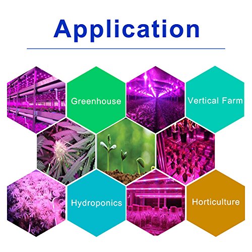 Jcbritw アップグレード版 45w 植物育成ledライト フルスペクトル 赤外線 紫外線を含む 室内栽培 苗木栽培 顕花植物栽培向け水耕栽培ランプ 野菜工場 植物栽培工場 Home Kitchen 花 観葉植物 フラワーギフト 栽培キット Whenbuy Jchere Com