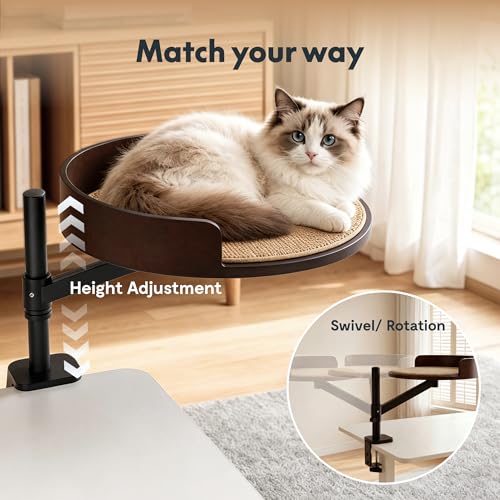 Image of FLEXISPOT EN2 55 inch x 28 inch Standing Desk with Solid Wood Cat Bed Bundle, 1 inch Thick Desktop, Desk-Mounted Cat Perch with Scratcher, Black