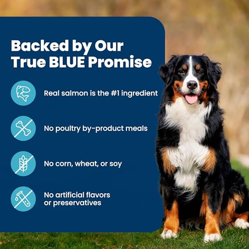 Image of Blue Buffalo Life Protection Formula Salmon & Brown Rice Adult Dry Dog Food, Supports Immunity with Antioxidant-Rich LifeSource Bits, Promotes Healthy Muscle Development, Skin & Coat Health, 30 lbs.