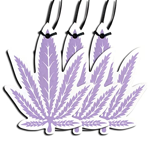 51GjwHfb3mL.jpg