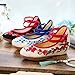Imagen de FQLGJMY Mujeres Chinos Bordados Planos asiáticos Tradicionales Mary Jane Brida Ballet Zapatos de Yoga con botón de Rana Suela de Goma