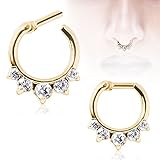 reifen 215/65r16 98h  1,2 mm x 6 mm 1,2 mm x 6 mm vergoldeter Princess Crystal Surgical Steel Clicker Ring Septum Nase