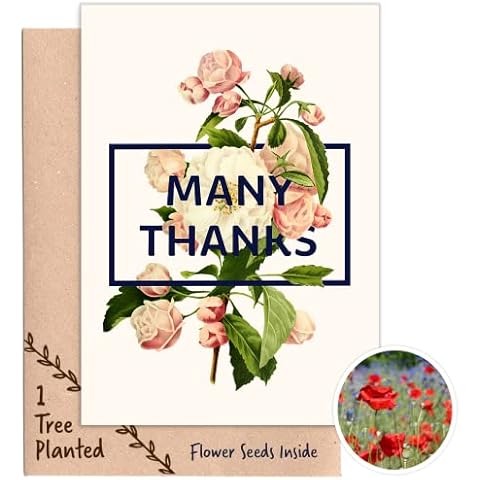 Recycled Thank You Card with Tree Planting Gift & Seed Card that Grows Flowers - For Bridesmaid, Teacher or Baby Shower - Blank Inside | 1 Tree Cards Cover