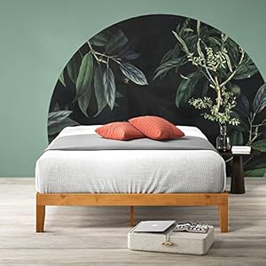 Zinus Alexia Bett 140 x 190 Braun