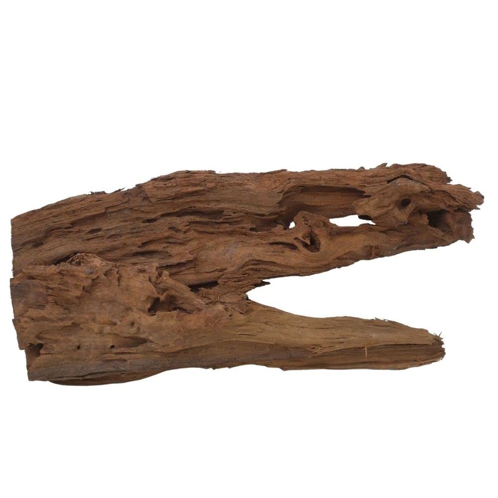 AquaOne Racine de mangrove - Taille XL - 1 pièce - 70-80 cm - Bois naturel - Décoration d'aquarium - Racine en bois véritable