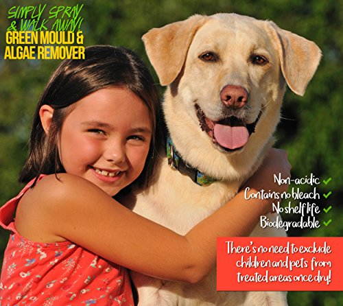 Pro-Kleen MY16 Patio Cleaner Simply Spray and Walk Away Green Mould and Algae Killer for Patios, Fencing and Decking 5 Litre Concentrate (Makes 25 litres)