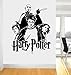 Price comparison product image Harry Potter Hermione Granger Ron Weasley Voldemort Wall Art Sticker/Decal Kids