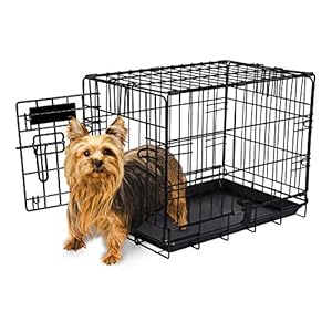 home training crate