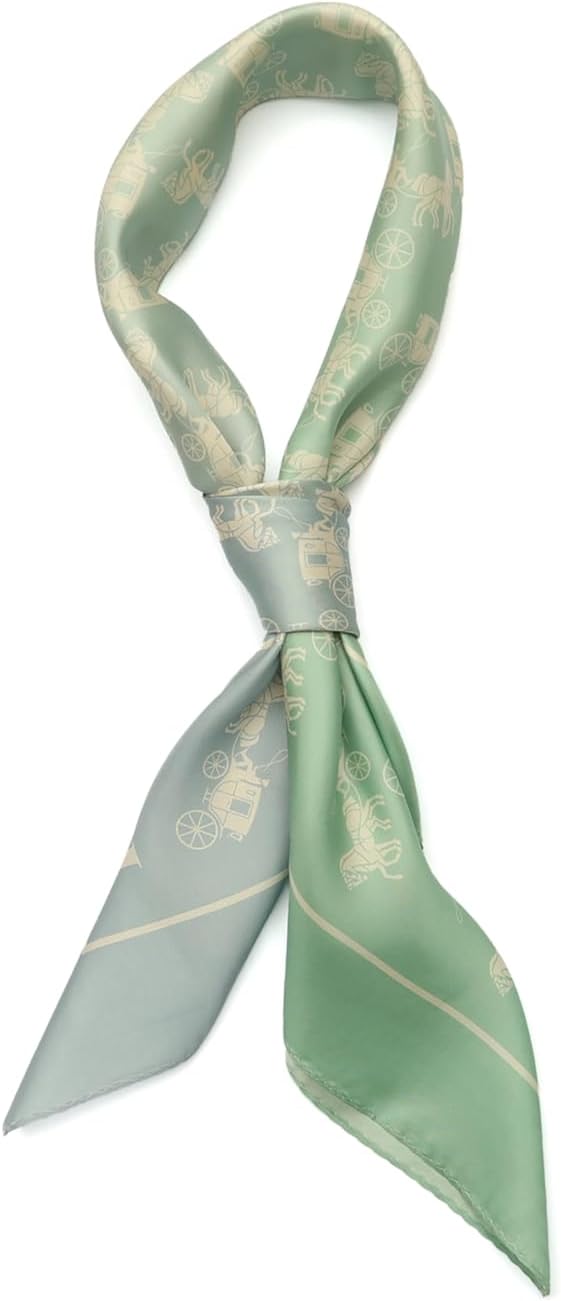 COACH womens Horse and Carriage Ombre Printed Silk Square - Image 2