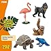 Schleich Wild Life - 5PC Exotic Animal Starter Playset Figurine Bundle - With Flamingo, Sloth, Frog, Giant Tortoise and Monkey Figures for Boys and Girls - Realistic Animal Toys Kids Ages 5+ | 77590