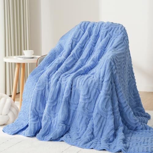 Image of Drewin Weighted Blanket for Adults Queen Size 15lbs, Soft Cozy Turtleback Sherpa Weighted Blankets for Sleeping and Calming, Thick Bed Blanket for Couch Bed, 60 x 80 inches, Sky Blue