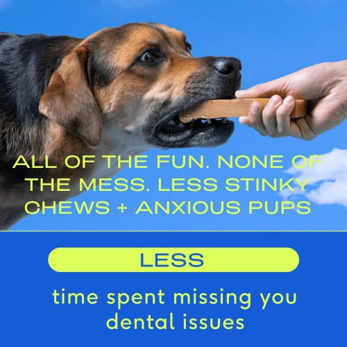 Native Pet Omega Oil For Dogs - Dog Fish Oil Supplements & Yak Chews For Dogs | Pasture-Raised And Organic Yak Cheese Himalayan Churpi Chews | 8 Oz. & 3 Medium Yak Chews #TOP2