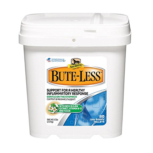 Bute-less B-L Pellets Horse Pony Comfort Recovery Support Devil