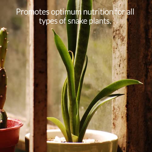 Professional Liquid Snake Plant Fertilizer | 3-1-2 Concentrate For Plants And Flowers | Multi-Purpose Blend & Gardening Supplies | 8 Oz Bottle #TOP2