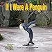 If I Were A Penguin (Bright)
