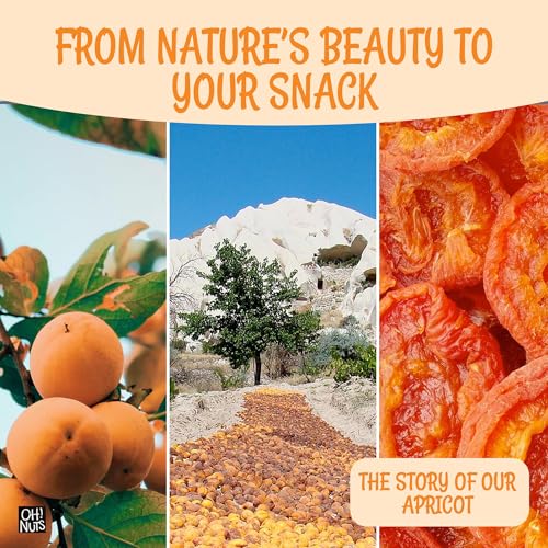 Image of Oh! Nuts Dried Apricots California - 1 lb - No Sugar Added - Packed in New York Zip-Seal Bag to Preserve Natural Freshness and Quality (Pack of 4)