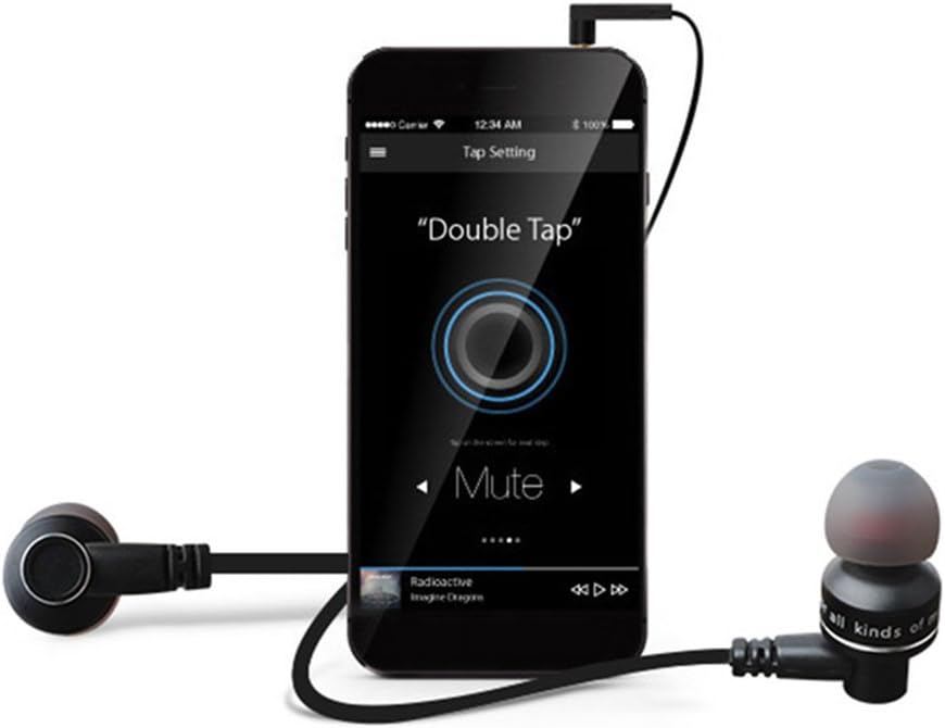 FLAWISH Awei ES 10TY HiFi Metal in-Ear Earphones Super Bass Noise Isolating Earbuds Ergonomic Comfort-Fit Dynamic Earphones Headset for iPhones Samsung PC MP3 MP4 with Mic Black