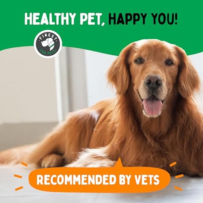 TummyWorks Probiotic 120 Soft Chews for Dogs All Ages - Supports Digestive Health, Relieves Diarrhea, Constipation, Good for Itching, Allergies, Yeast Infections. Added Digestive Enzymes, Made in USA-P0gvXj8k