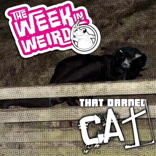 Page de couverture de Week in Weird 7-29-25: That Darned Cat