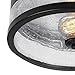GLOBE Electric 69999 1-Light Flush Mount Ceiling Light, Dark Bronze, Seeded Glass Shade, Bedroom Lighting Fixtures Ceiling, Dining Room Fixture, Timeless, Lighting for Hallway or Dining Room