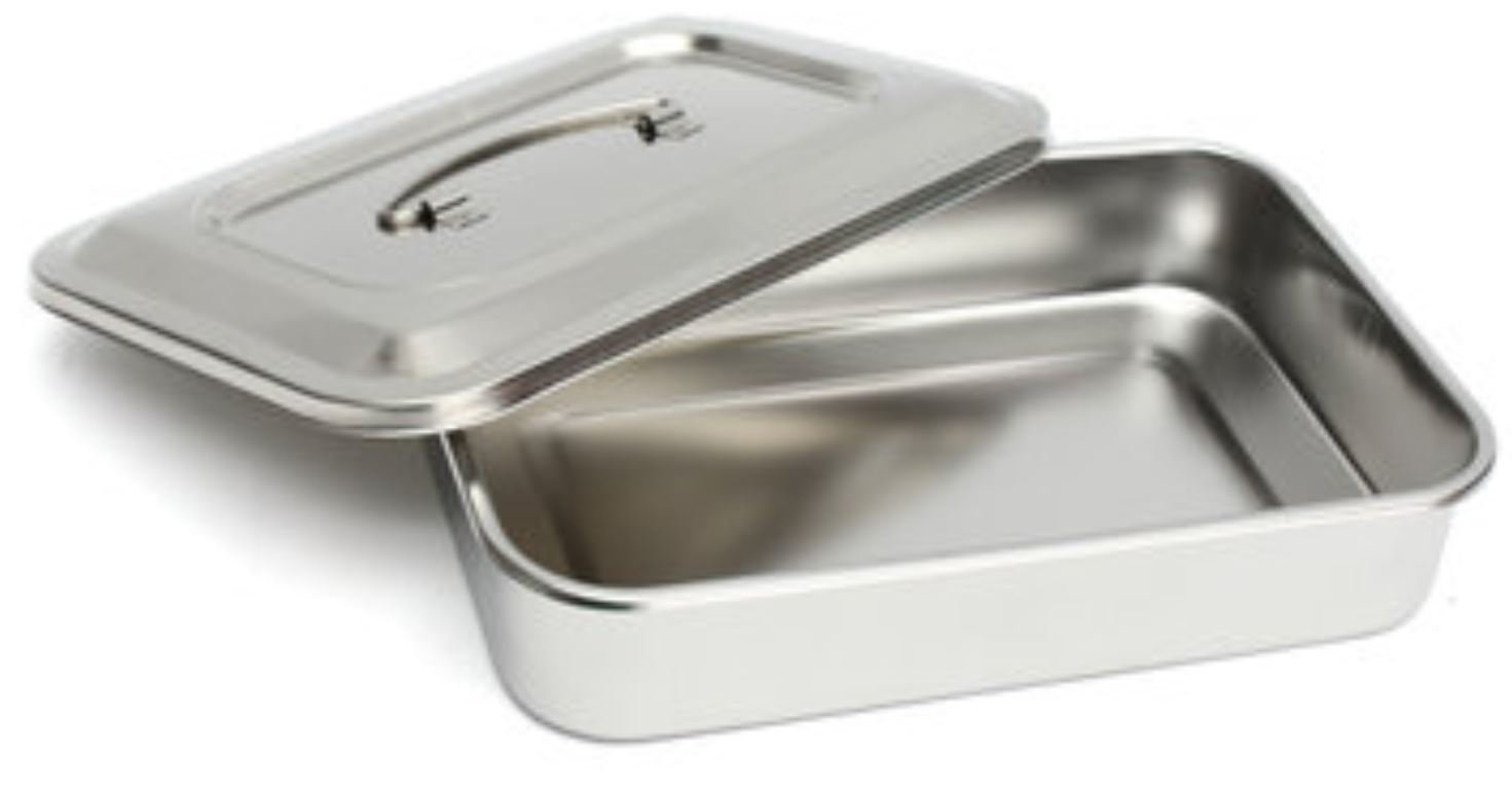 Muteitt Lot De 2 Plateaux Médicaux Acier Inoxydable 9,3 X 19,7 X 2 Cm – Support Polyvalent Pour Instruments Manucure, Beauté, Chirurgie & Petits Objets