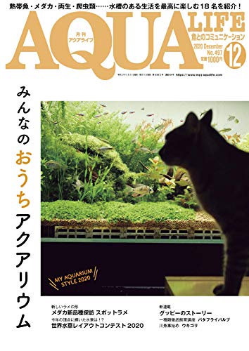 スマホ 無料電子書籍 月刊アクアライフ 2020年12 月号 みんなのおうちアクアリウム バイ