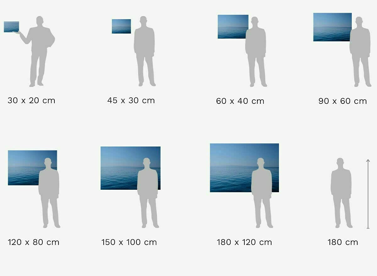 Magic Canvas Art B8100 - Zio Paperone Stampa artistica su tela di alta qualità, stile Pop Art, 1 pezzo, dimensioni: 40 x 30 cm