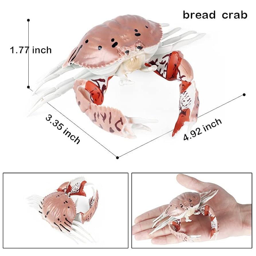 Amazon.co.jp: Hiawbon 10ピース リアルなカニの置物モデル 人工