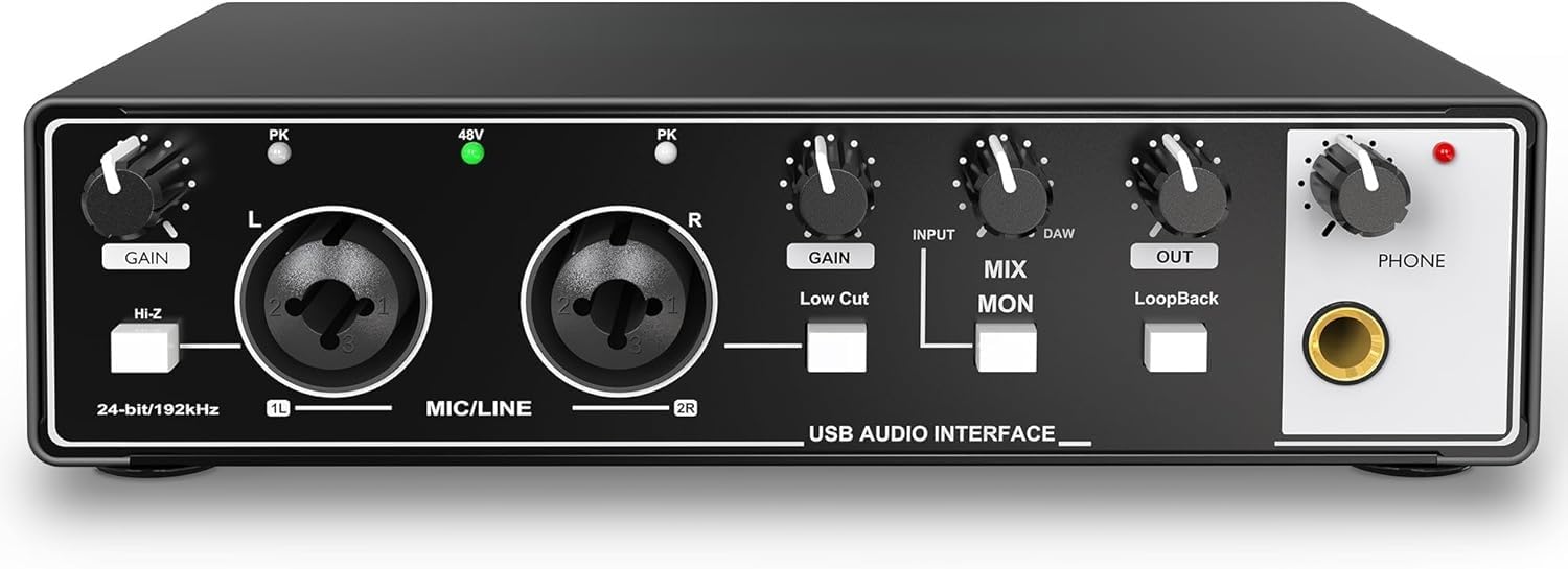 Amazon | USBオーディオインターフェース 2in 2out（24Bit/192kH）PC