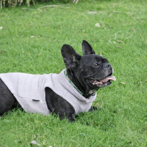 Image of JACKO & CO - Fleece Vest Dog Sweater with Leash Ring - Soft, Warm & Lightweight Pullover Coat for Small & Medium Dogs, Puppies & Cats - Cozy Fall /Winter /Spring Pet Jacket (Grey, XX-Large 25-35lbs)