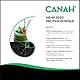 Natürliches Hanfproteinpulver von Canah 500 g - mit hohem Gehalt an Omega-3 Protein, Aminosäuren, Mineralien, Magnesium-Phosphor-Eisen und Zink, veganische Supernahrungsmittel kalt verarbeitet