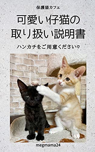 可愛い仔猫の取り扱い説明書 可愛い仔猫の取扱説明書 Megmama24 消費者主義 Kindleストア Amazon