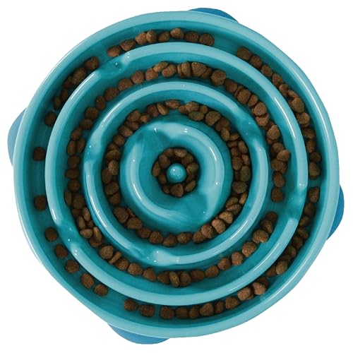 Outward Hound Fun Feeder Slo...