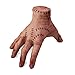 Wednesday Addams Hand Requisiten Scarred Latex Hand Actionfigur Hand Wednesday Addams Family Thing Hand Lustige Halloween Foto Requisiten Scarred Latex Hand für Kinder Erwachsene Geschenk für Fans Family günstig Kaufen-Wednesday Addams Hand Requisiten Scarred Latex Hand Actionfigur Hand Wednesday Addams Family Thing Hand Lustige Halloween Foto Requisiten Scarred Latex Hand für Kinder Erwachsene Geschenk für Fans