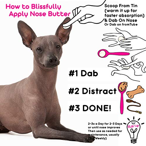 Image of The Blissful Dog Xoloitzcuintli Nose Butter - Dog Nose Butter, 0.50 Ounce