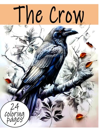 The Crow : A Mystical Coloring Book