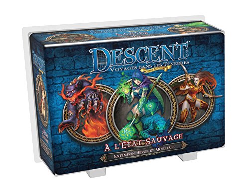 Preisvergleich Produktbild Asmodee UBIDES31 Descent auf der Wildbahn